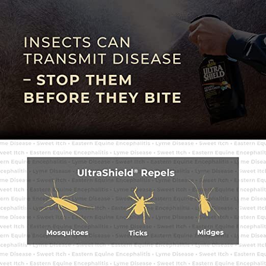 UltraShield spray pret kukaiņiem 3,8L