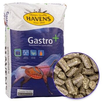 Gastro + 20 кг