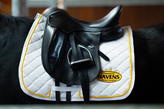 Havens zirgu sviedrene balta