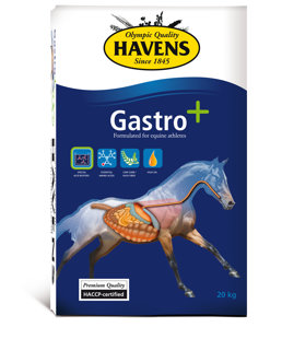 GASTRO+ (20kg)