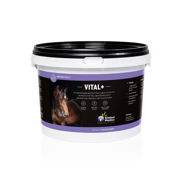 Vital + vitamīnu komplekss 1kg